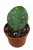 8c8b4bb0-f8f0-4a5c-8221-c23a4b7a378a.png