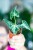 Alocasia Loco-4.jpg