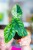 Alocasia Dragon Scale Mint ø8 cm - ↑12 cm-2.jpg