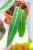 Anthurium Pallidiflorum ø14 cm-2.jpg