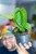 Philodendron Tenue ø14 cm - ↑30 cm-3.jpg