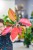Aglaonema Orange Star ø12 cm - ↑35 cm-8.jpg