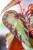 Begonia Silver Moon ø8 cm - ↑12 cm-2.jpg