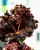 Begonia Munchkin-2.jpg