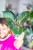 Philodendron Pink Bikini ø12 cm - ↑30 cm-2.jpg