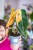Philodendron Melanochrysum ø12 cm - ↑40 cm-1.jpg