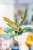 Philodendron Caramel Marble ø6 cm - ↑15 cm-1.jpg
