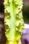 AR107077-edit-1787958284557-2.jpg