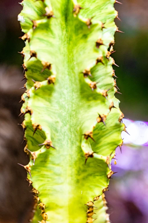 AR107077-edit-1787958284557-2.jpg