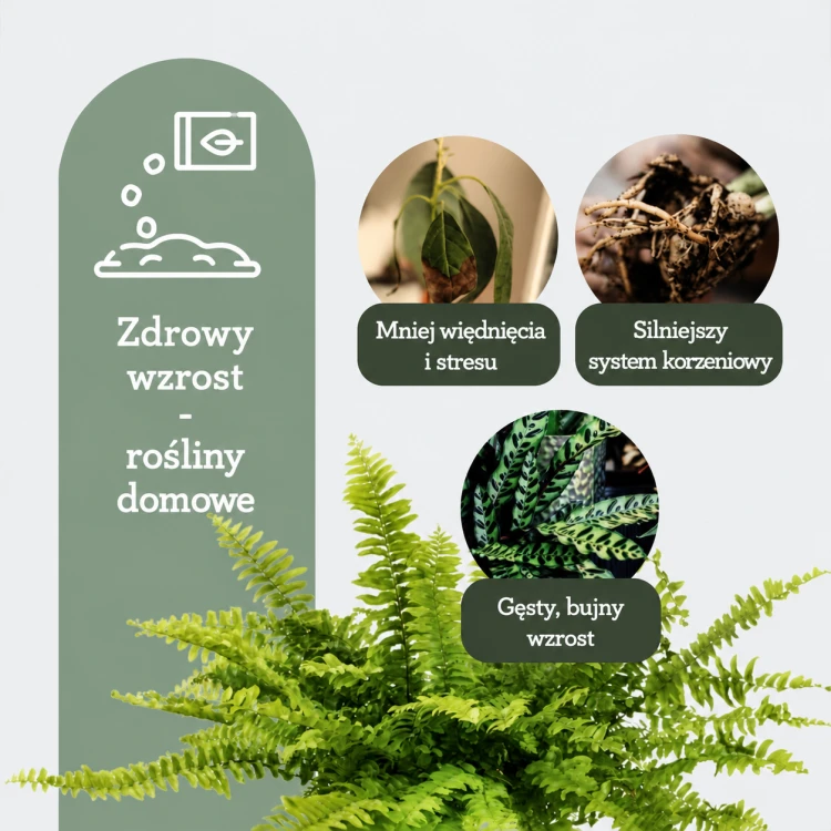 aa917f31-78e8-454b-871a-a0f4dba32760.png