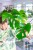 Monstera Sierrana ø17 cm - w- 40 cm-1.jpg