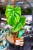 Philodendron Billietiae x Pastazanum Billinum ø9 cm - w-20 cm-5.jpg
