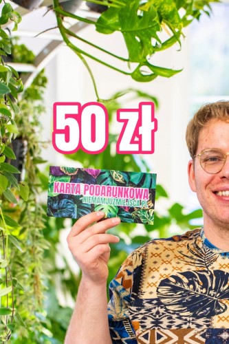 50 zł.jpg