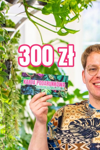 300.jpg