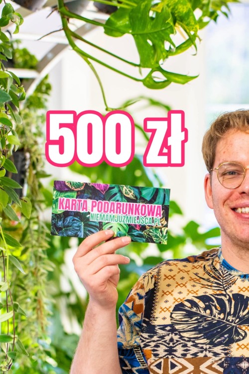 500.jpg