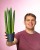 Sansevieria Cylindrica -1.jpg
