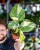 Monstera Thai Noid-49.jpg