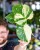 Monstera Thai Noid-50.jpg