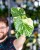Monstera Thai Noid-24.jpg