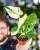Monstera Thai Noid-19.jpg