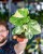 Monstera Thai Noid-33.jpg