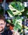 Monstera Thai Noid-37.jpg