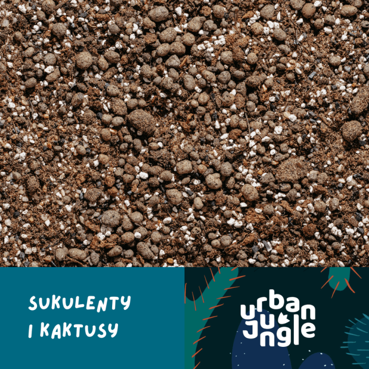 Podloze-do-sukulentow-i-kaktusow.png