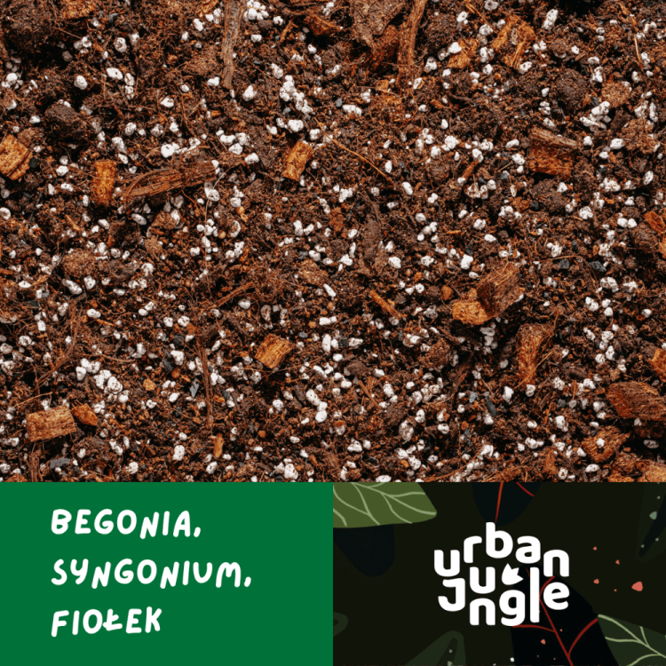 Podloze-begonia.png