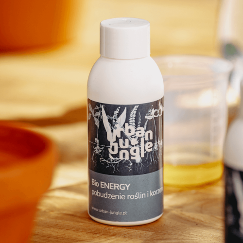 Bio-Energy-1.png