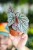 RN0A7907.jpg