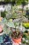 RN0A7923.jpg