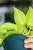 RN0A7946.jpg