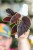 RN0A8991.jpg