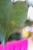 RN0A9155.jpg