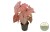 e7fc961a-01ff-4dcc-aa12-03ce38b8f033.jpg