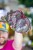Begonia Speckled-9.jpg