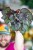 Begonia Speckled-11.jpg