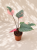 73d24981-8151-43f1-b76c-abd31eed231a.png