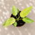 bf8340ca-4e10-4b7b-ba9b-bb34f00e1971.png