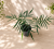 f56b3179-8f7a-43bb-81c1-6032e52702c9.png