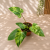 92017cdb-f693-4d41-a78e-f109b184c516.png