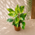 7eb8ea2e-282a-456b-8712-89c4fc30c85b.png