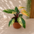 ca1bd550-dfe4-4c46-8bf0-c1c1f4634739.png