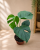 e0b32df0-334b-4665-831b-f587b5884860.png