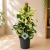 2ba6a890-a9a1-4a30-9852-ce1a8f8f8cc3.png