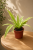 73caeef0-4f40-4650-ac36-baadf4ab405a.png