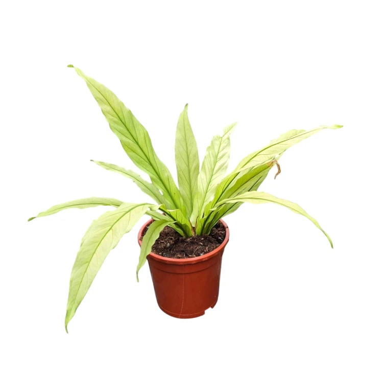a4df1a1b-3328-43cc-89d7-975af51ad6f2.jpg
