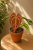 8f7866cc-4956-4314-b9c9-5430684e31c2.png