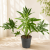 604a6645-83cb-4e74-9a06-33e014b59ad5.png