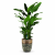 fd2872da-702f-43cd-b94e-7295ea85d15b.png